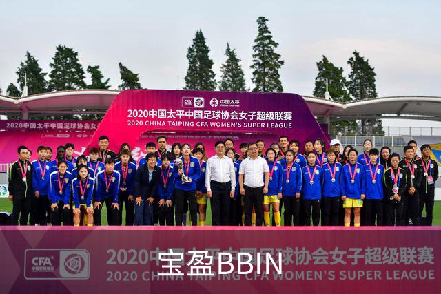 宝盈BBIN公司简介展示图